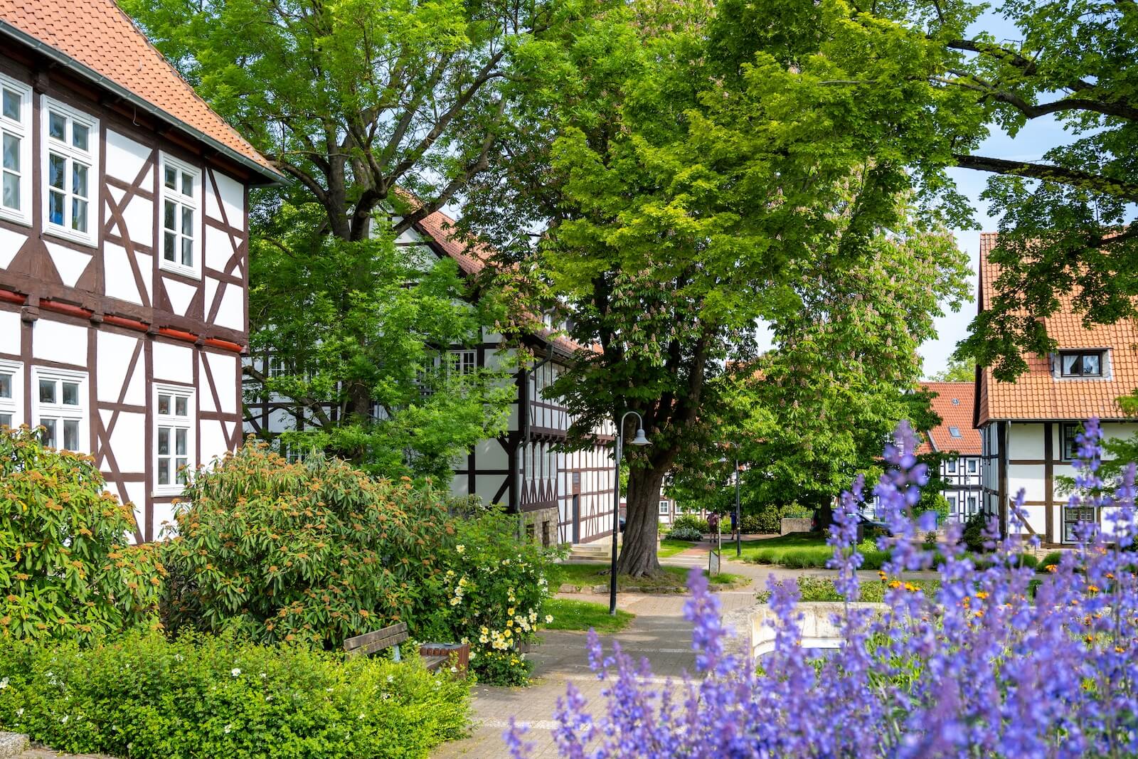 Übersetzungsagentur Salzgitter - Dokumente übersetzen Deutsch Englisch